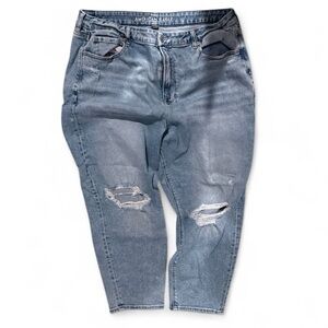 American Eagle Stretch Denim | Plus Size​